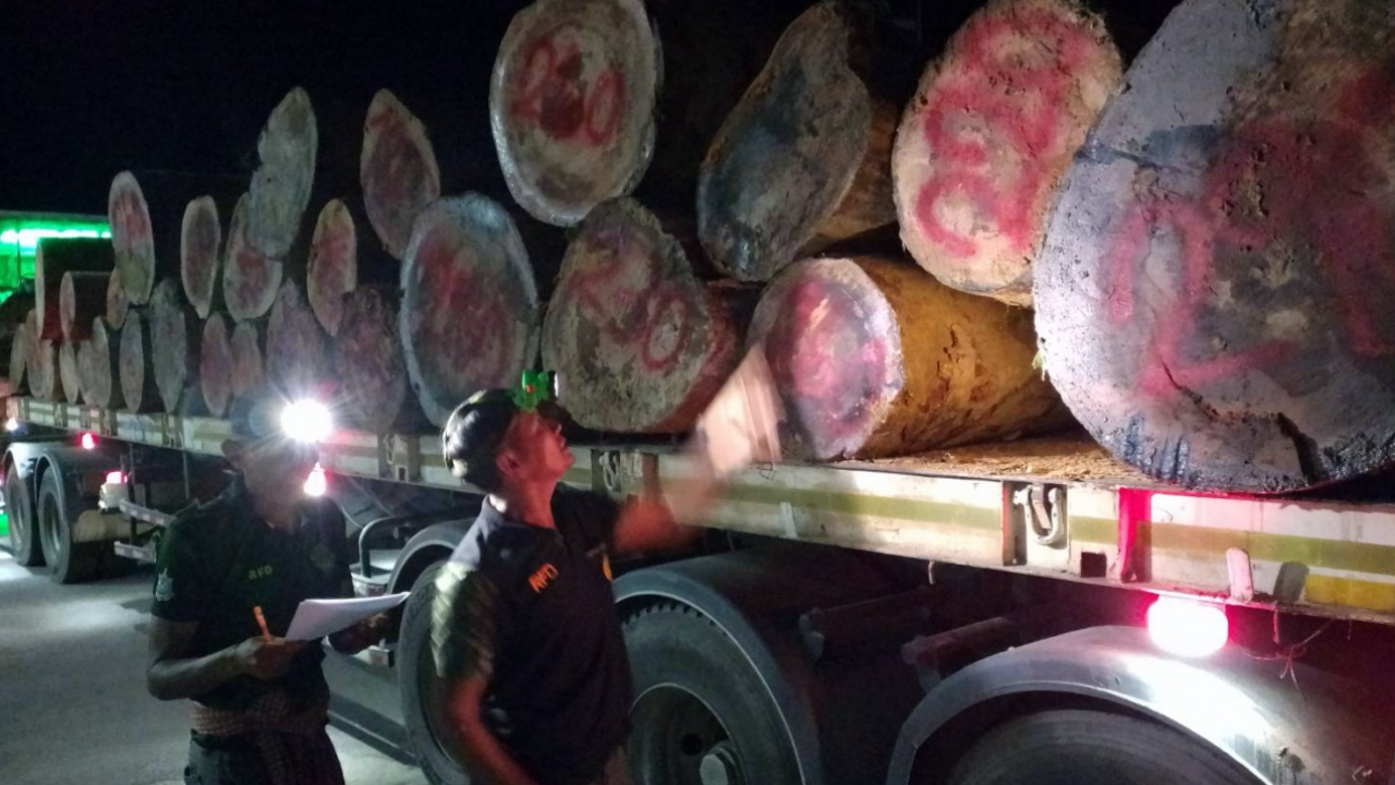 ตรัง จนท.จับไม้ยางถื่อน 29 ท่อน ค่ากว่า 2 ล้าน จ่ายเคลียร์ทางแล้ว