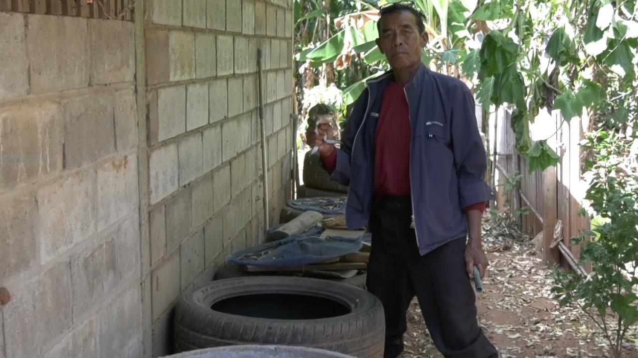 ตาชาวโคราชเลี้ยงกบในคอนโดยางรถยนต์ ขายรายได้ปัง ชี้ใช้พื้นที่น้อย ลงทุนต่ำ