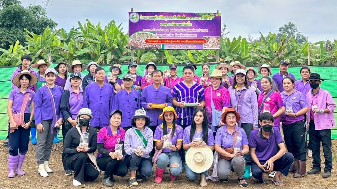 อบต.บ้านกาศ ทดลองปลูกกระเทียม GAP เพื่อผู้บริโภคปลอดภัย เป็นมิตรสิ่งแวดล้อม