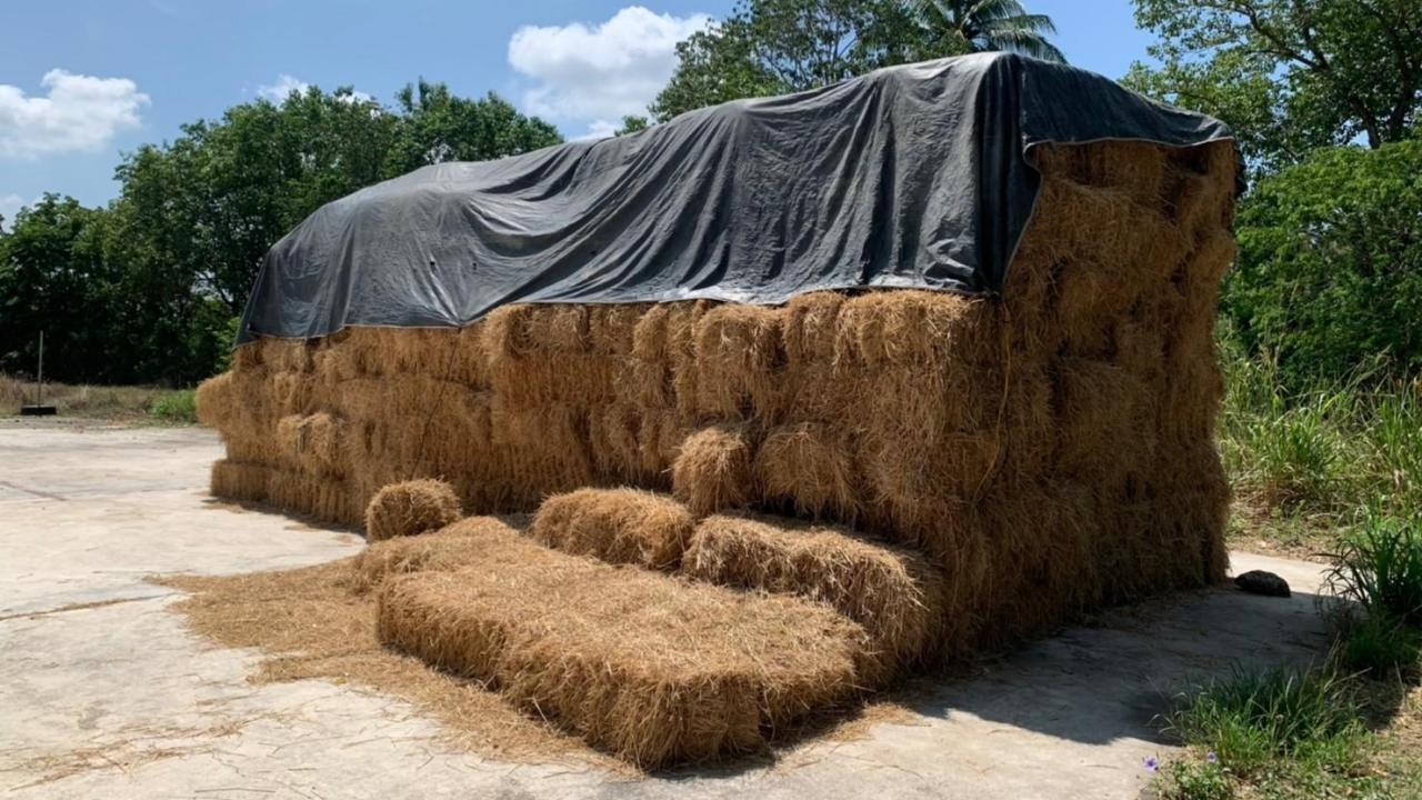 สศท.7 เผยผลศึกษา บริหารจัดการฟางข้าวใน 8 จังหวัดภาคกลาง เพื่อสร้างมูลค่าเพิ่ม