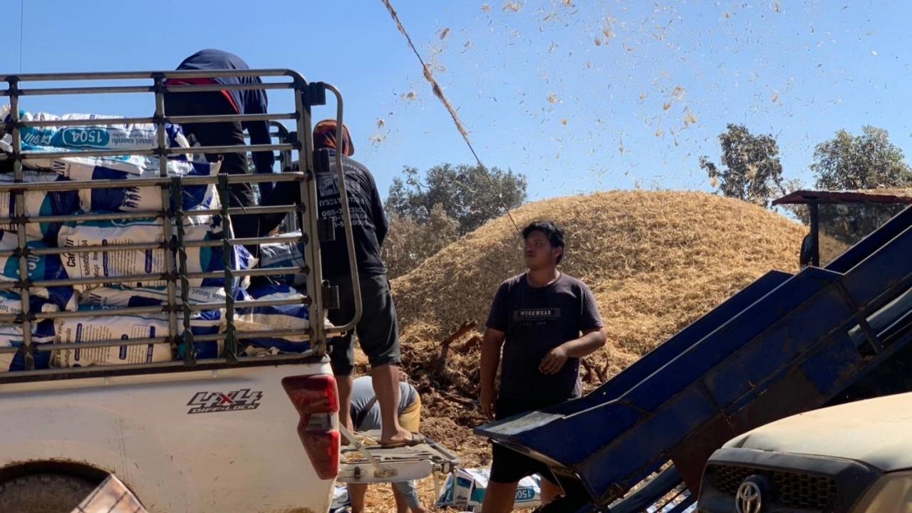 นอภ.กัลยาณิวัฒนา ติดตามราคารับซื้อข้าวโพดช่วยเกษตรกร และแนะวิธีจัดการซังข้าวโพด