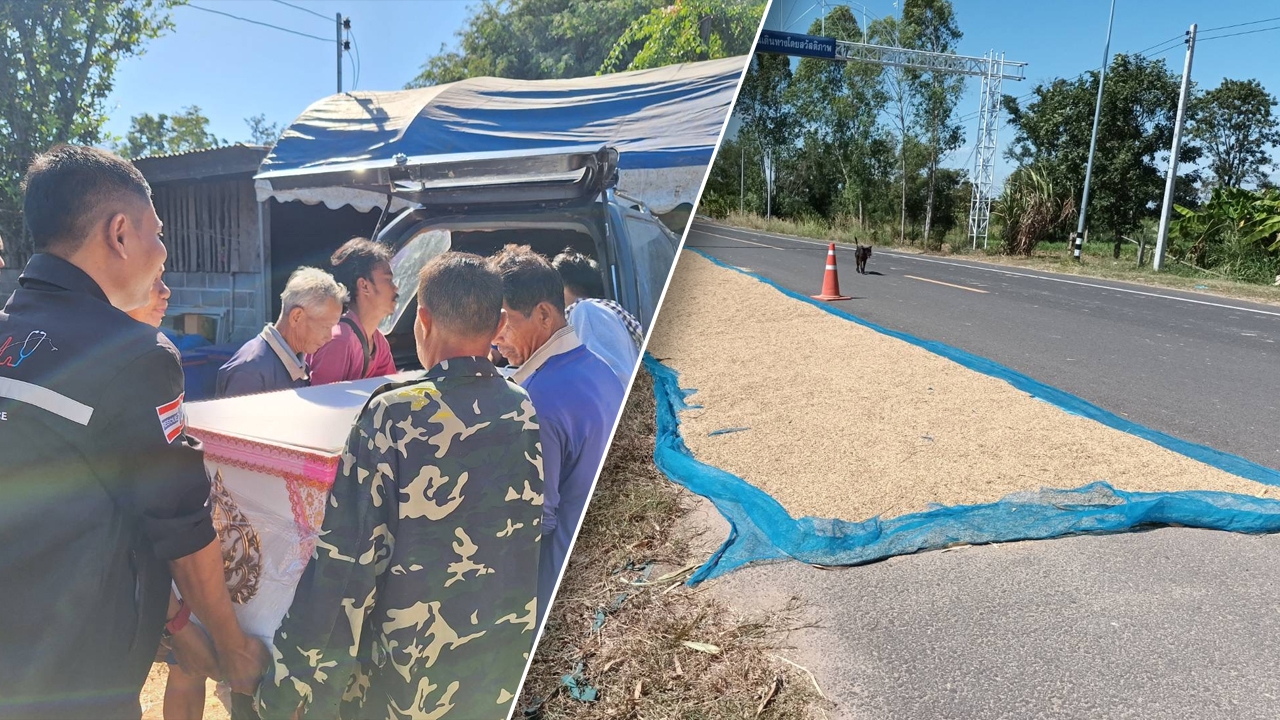 ตากข้าวริมถนนใหญ่ หนุ่มเคราะห์ร้ายขี่ จยย.เหยียบล้มหัวฟาดดับ 