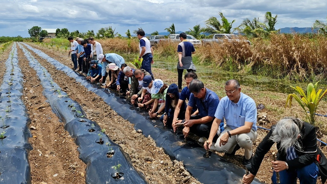 ไทยวาโมเดล (1)