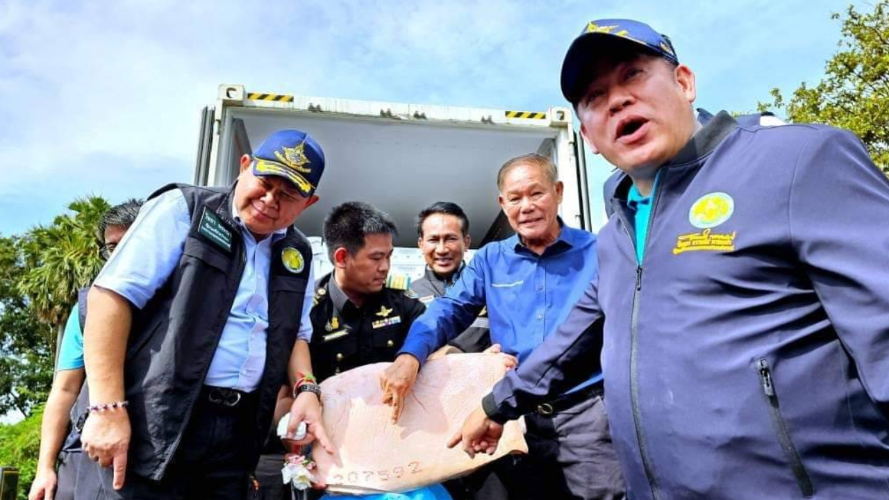 “ไชยา” ลุยปราบหมูเถื่อน เข้มตรวจสอบ-ดำเนินคดี ยันไร้ขัดแย้ง “ธรรมนัส”