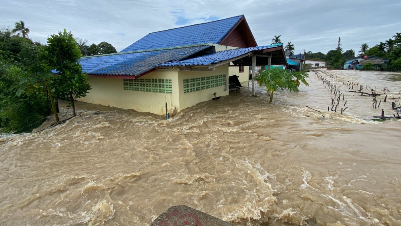 ฝนถล่ม 3 วัน น้ำป่าหลากลงเขา ท่วมพัทลุง 4 อำเภอ