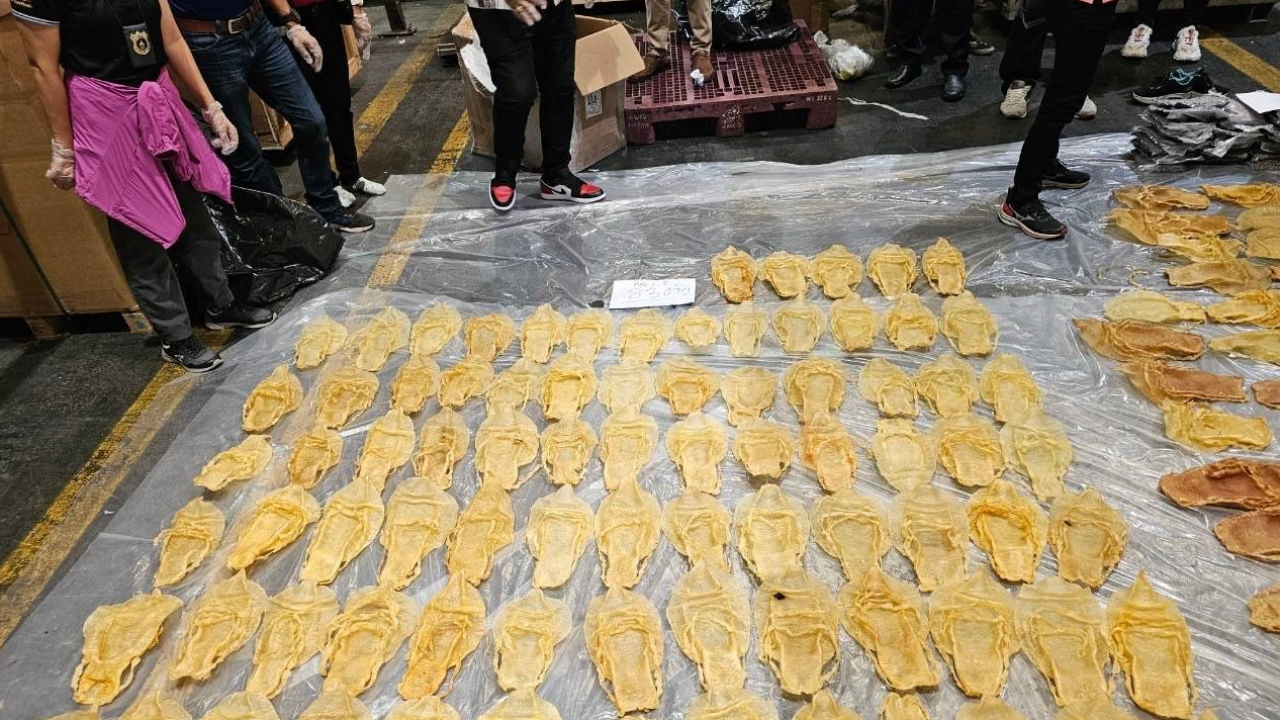 "กรมศุลกากร" ยึดกระเพาะปลาตากแห้ง ลักลอบนำเข้า มูลค่ากว่า 58 ล้านบาท