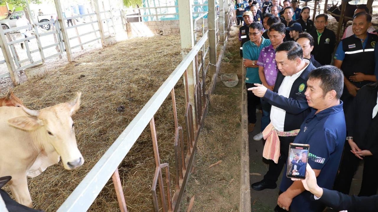 อนุชาปลื้มโครงการเลี้ยงโคที่สุโขทัย พร้อมขับเคลื่อนชัยนาทโมเดลขยายผลทั่วประเทศ