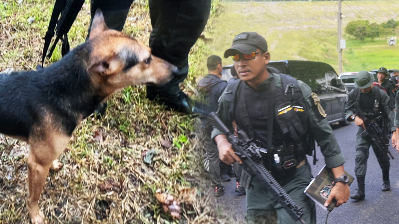 "เจ้าหมี" หมาไทยสายดูต้นทาง ทักษะเห่าส่งสัญญาณช่วย "เสี่ยแป้ง นาโหนด"    