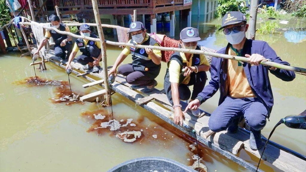 พัฒนาที่ดิน เร่งผลิต พด.6 บำบัดน้ำเสีย ฟื้นฟูดินหลังน้ำลด
