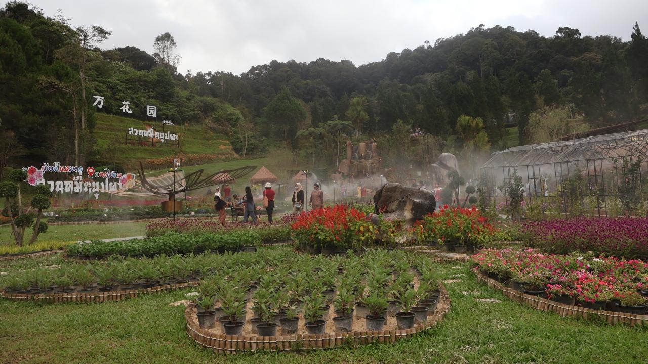 นักท่องเที่ยวแห่ชมความงาม "สวนหมื่นบุปผา" โชว์ไม้เมืองหนาวหนึ่งเดียวของเบตง