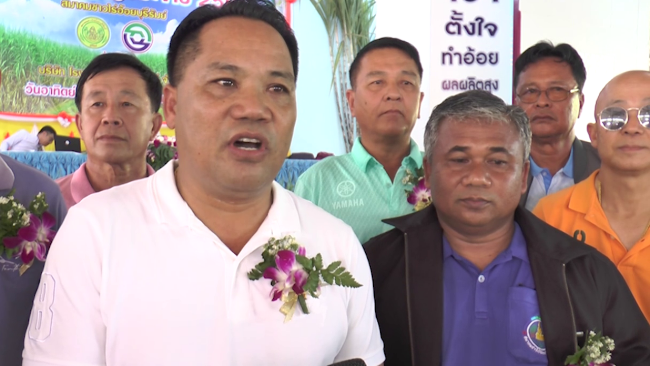 ชาวไร่อ้อยอีสานไม่พอใจ รบ.ถ่วงจ่ายค่าชดเชยตัดอ้อยสด 120 บาท โยนกันไปมาไม่จบ