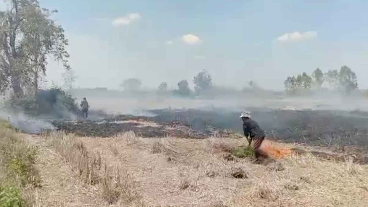 ทส.จับมือ เกษตรฯ แก้ PM 2.5 รณรงค์เปลี่ยนพฤติกรรม ลดการเผาในพื้นที่เกษตร