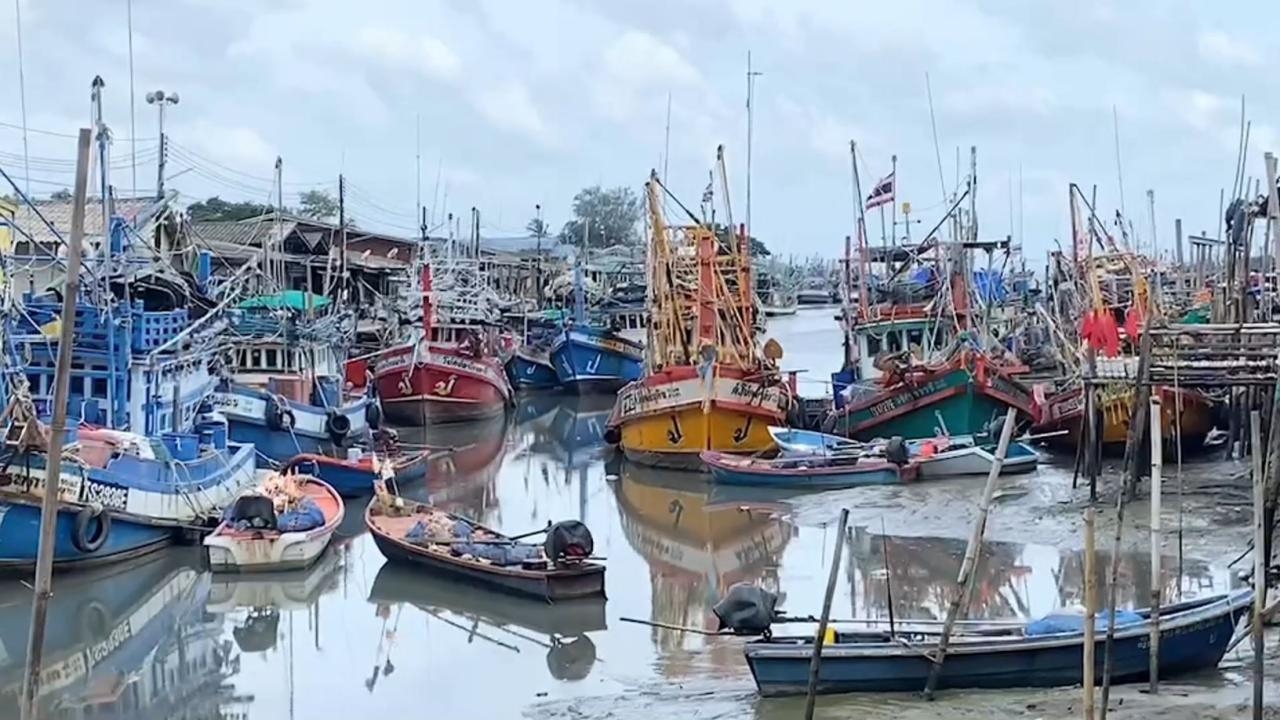 ตราดเย็นสุดในรอบปี คนแห่ใส่เสื้อกันหนาว เรือประมงหลบคลื่นแรง ซีฟู้ดขยับราคา