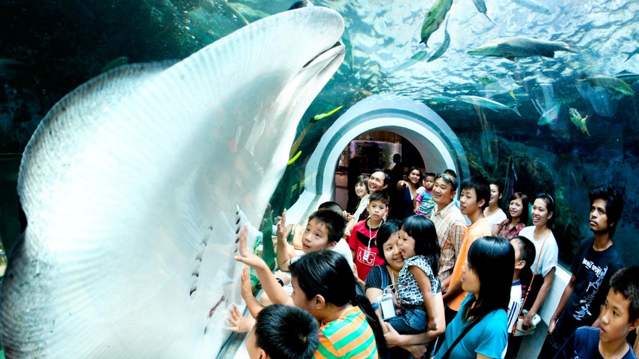 กรมประมงส่งสุขปีใหม่ 2567 เปิดศูนย์ประมงและอควาเรียมให้นักท่องเที่ยวเข้าชมฟรี