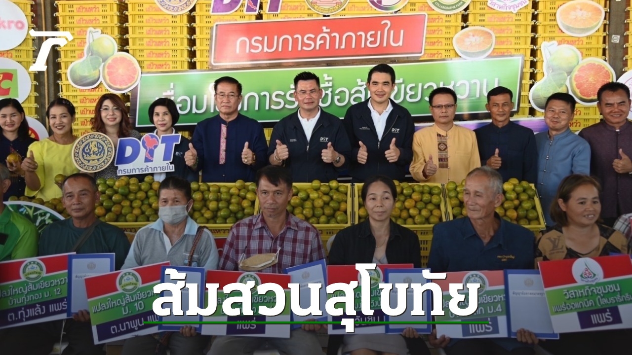 Department of Internal Trade Increases Orange Purchases from Sukhothai Farmers, Prices Expected to Remain High