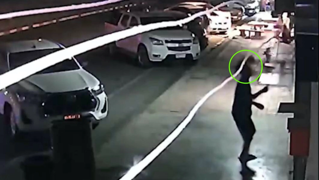 เกเรไม่เลิก ลิงลพบุรีโดดเกาะหัว ด.ช. 13 แย่งบาร์บีคิว สมุนช่วยรุม  