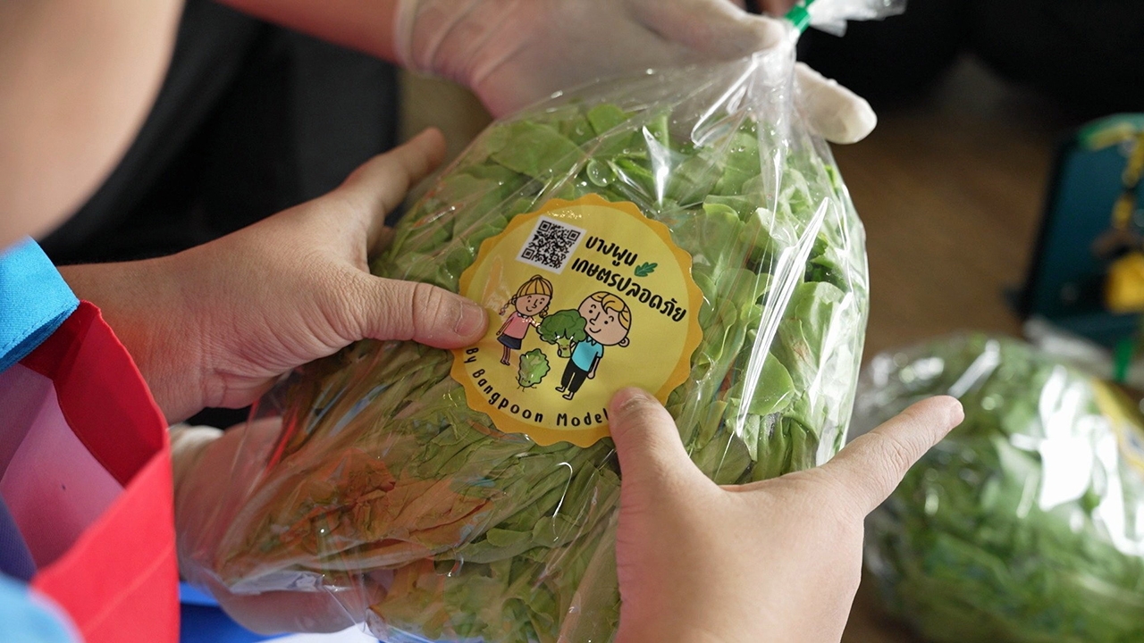 บางพูนโมเดล สลัดที่เป็นมากกว่าผัก