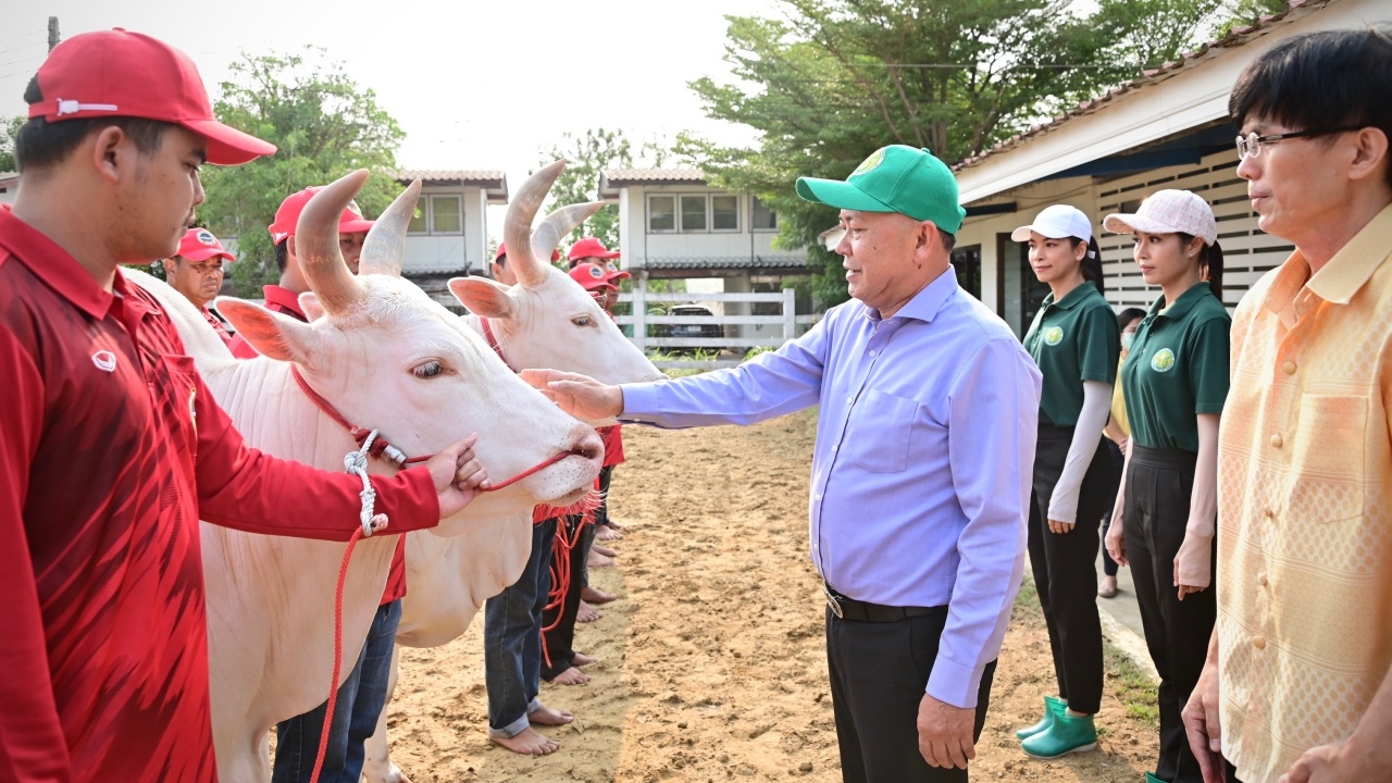 ปลัดเกษตรฯ ตรวจความพร้อมการเตรียมพระโคแรกนาขวัญ ในพระราชพิธีพืชมงคลฯ ปี 2567
