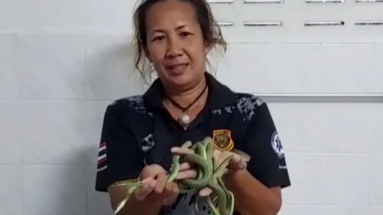 สาวได้ยินเสียงแปลกๆ แทบช็อกเจอฝูงงูเขียว คาดหนีร้อนมาซุกห้องน้ำ