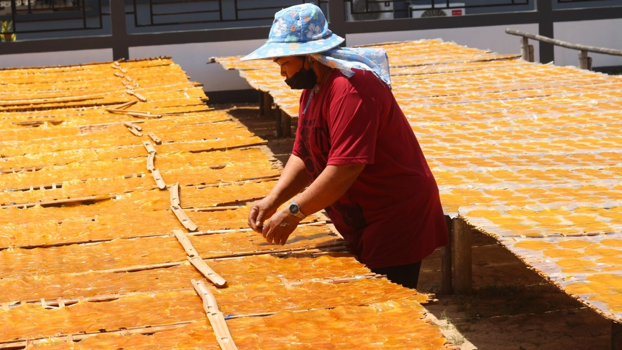 ชาวบ้านวังครุฑ เร่งผลิตมะม่วงกวน ได้อากาศร้อนทำให้แห้งไว ส่งขายโรงงานที่พิจิตร