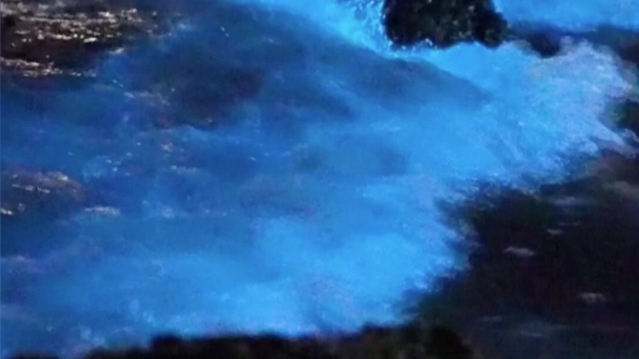 นทท.แห่ชมปรากฏการณ์น้ำตาสีน้ำเงินในทะเลฝูเจี้ยน (คลิป)