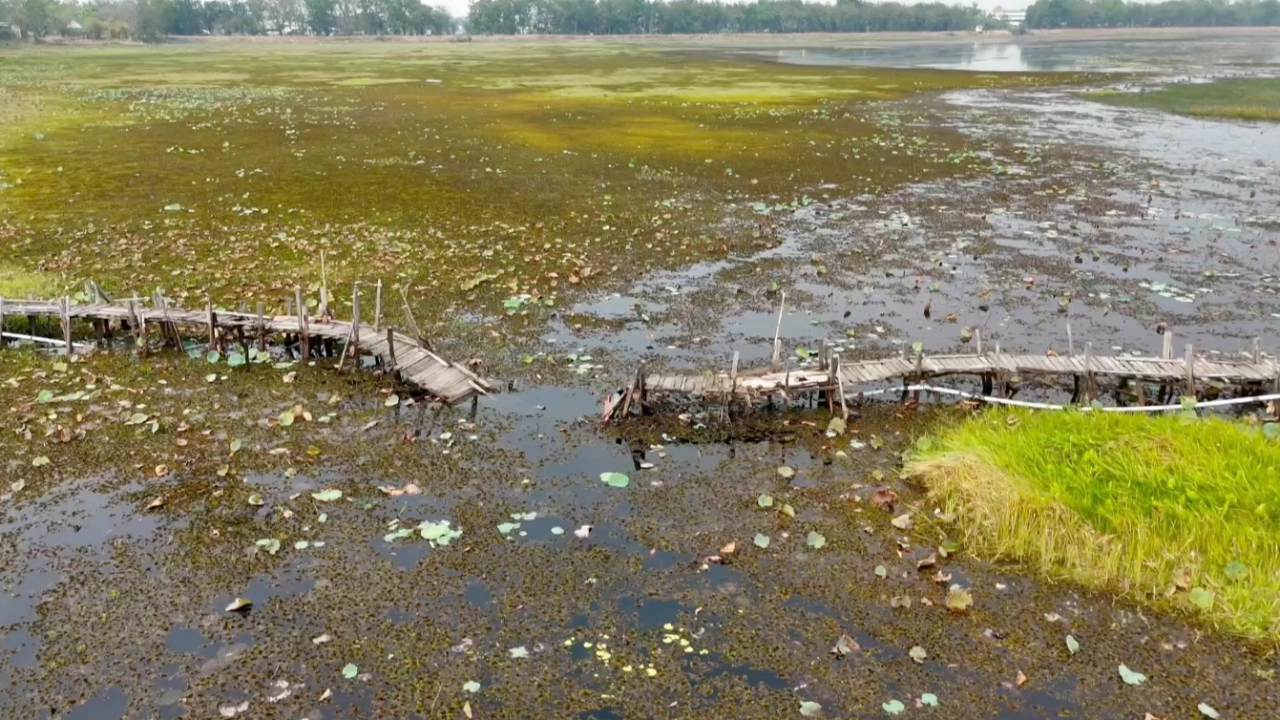 ชำรุดหนัก "สะพานไม้แกดำ" ทรุดโทรมผุพัง ชาวบ้านเดือดร้อน-วอนช่วยซ่อม