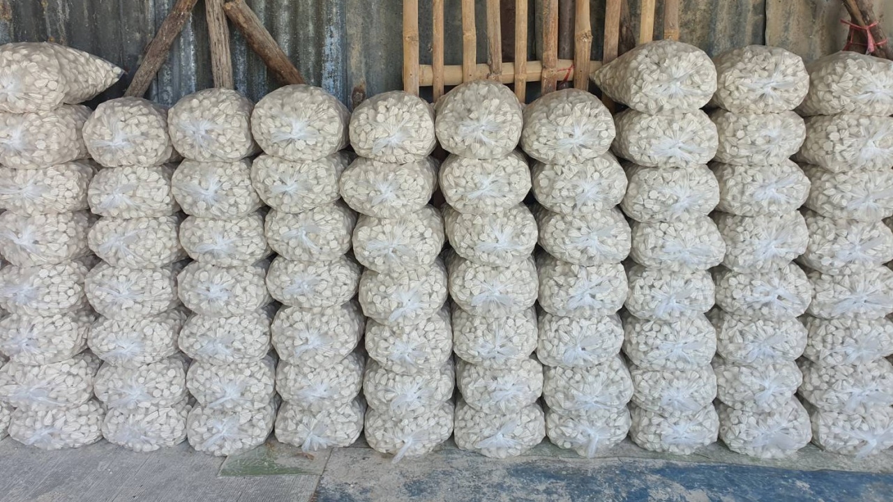 ดินสอพองลพบุรี ออเดอร์ล้นก่อนสงกรานต์ 60 ลาน ผลิตไม่ทัน ราคาพุ่งหลังฟุบมานาน