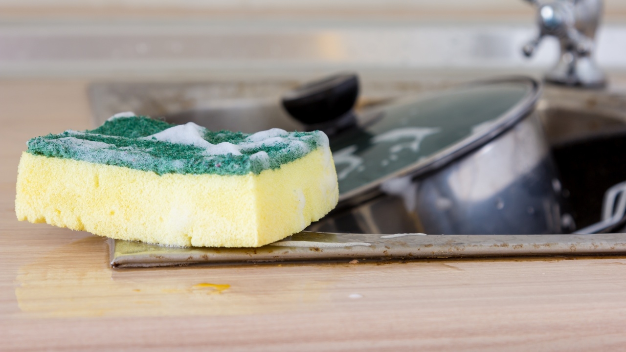 อ.เจษฎ์ เผย "ฟองน้ำล้างจาน" คือแหล่งสะสมเชื้อโรค แนะควรเปลี่ยนทุกเดือน