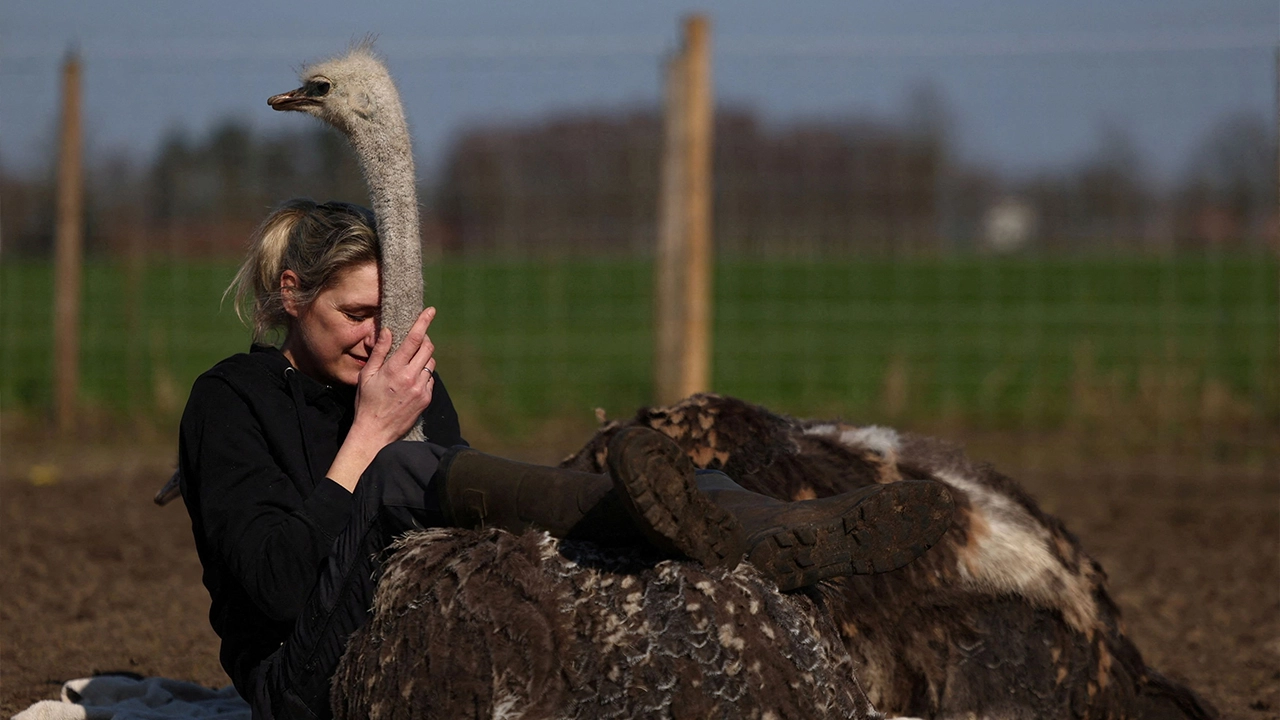 กอดนกนักบำบัด