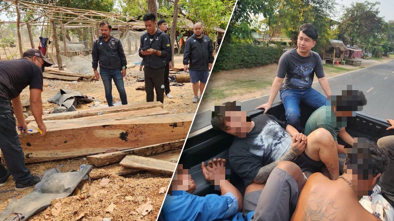 จับอดีตตำรวจ ตั้งแก๊งตัดไม้พะยูงทั่วอีสาน ตามใบสั่งนายทุน มูลค่ากว่า 10 ล้าน