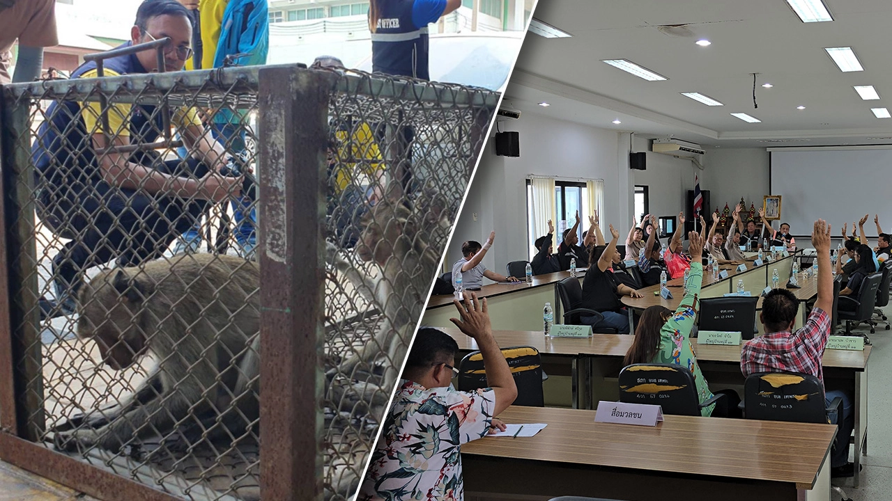 ผู้นำท้องถิ่นลงมติไม่รับ ลิงลพบุรี มาไว้ศูนย์ช่วยเหลือสัตว์ป่า นครนายก