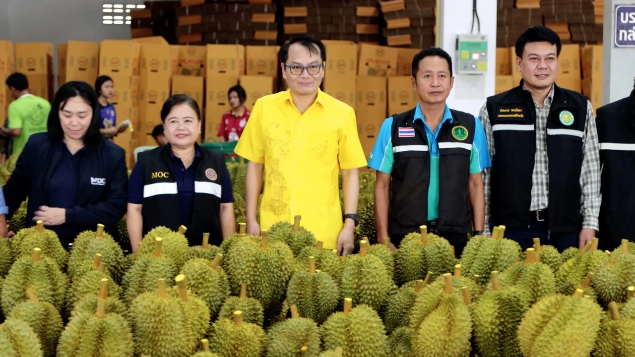 ตราดคุมเข้มล้งตรวจตาชั่ง คัดทุเรียน เพิ่มความมั่นใจคุณภาพช่วงเปิดฤดูผลไม้