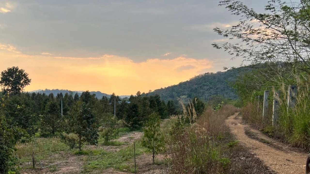 ก.ต.ช.ภาคประชาชน เสนอแก้ปัญหาช้างป่ารอยต่อระยอง-จันทบุรี แบบยั่งยืน