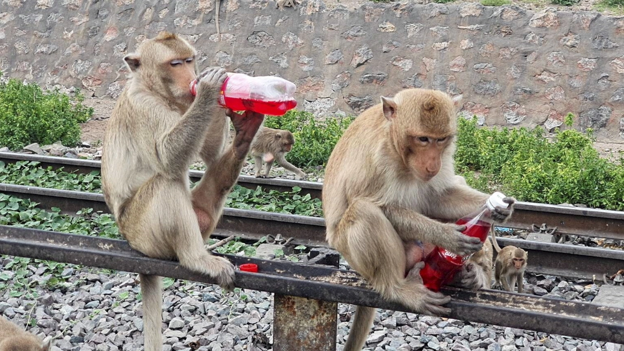 สภาพอากาศวันนี้ อีสาน-กลาง มีฝนฟ้าคะนองบางพื้นที่ ภาคเหนือกลับไปร้อน 