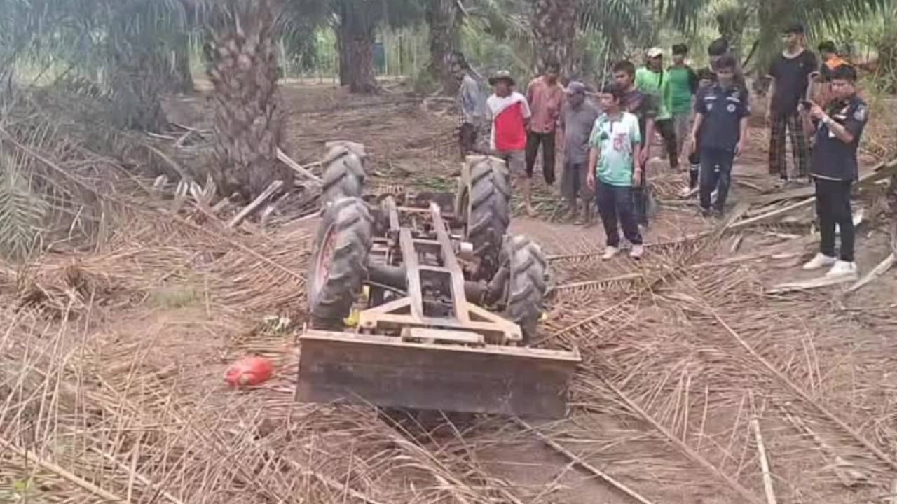 ฝนตก ชาวนารีบไปไถนา รถไถพลิกคว่ำทับร่างตายระหว่างทาง