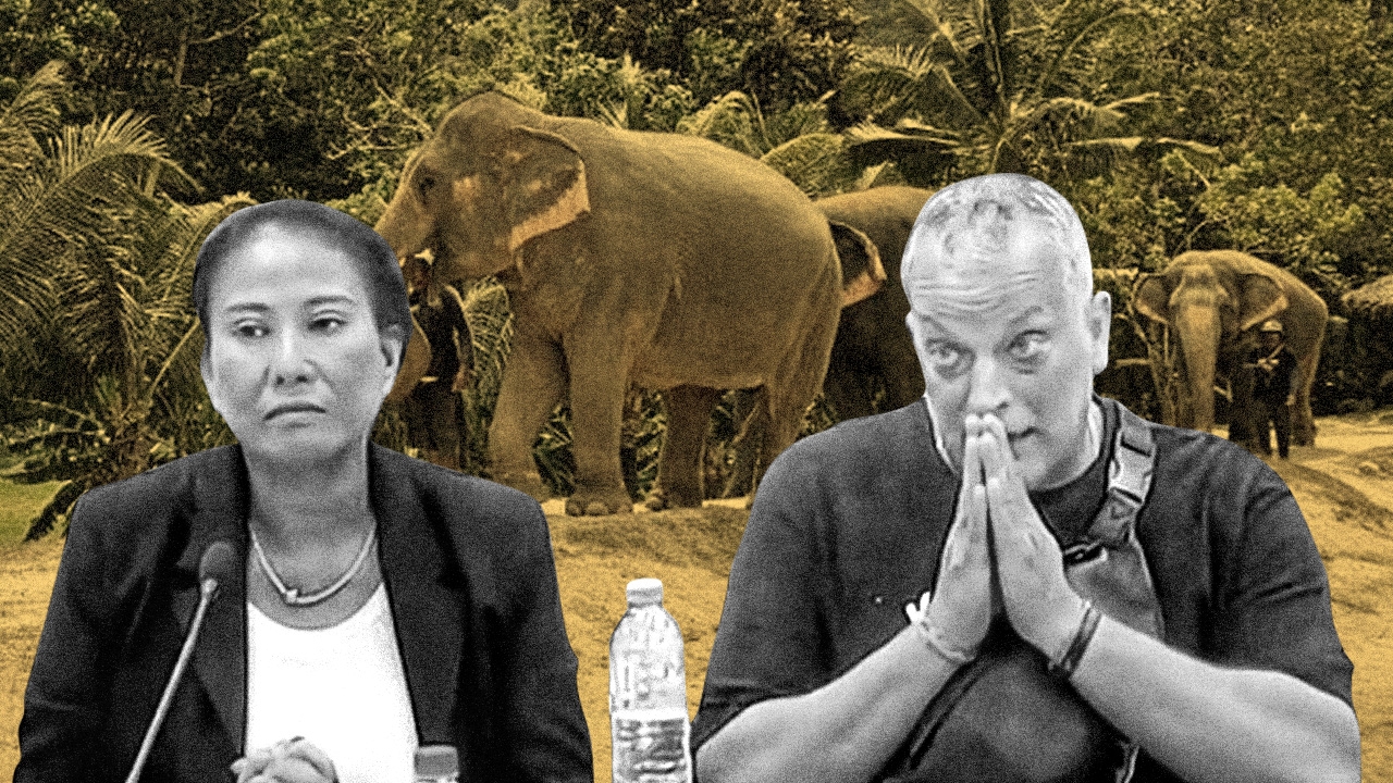 คำถามถึง ฝรั่งสวิส ทำไมต้องเปิดธุรกิจปางช้าง-ควบมูลนิธิอนุรักษ์? 