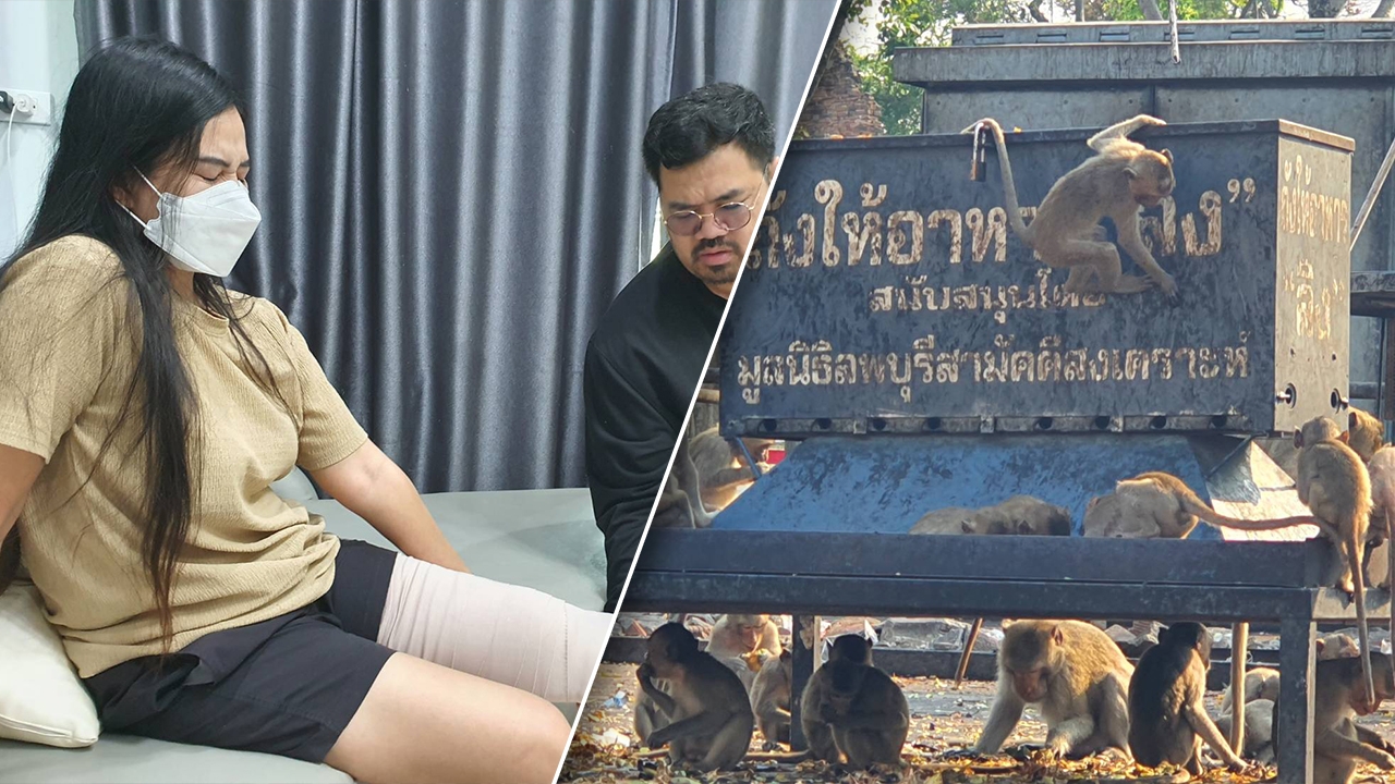 ลิงลพบุรีป่วนเมือง แย่งถุงกับข้าวคามือ สาวล้มกระแทกพื้นจนเข่าหลุด