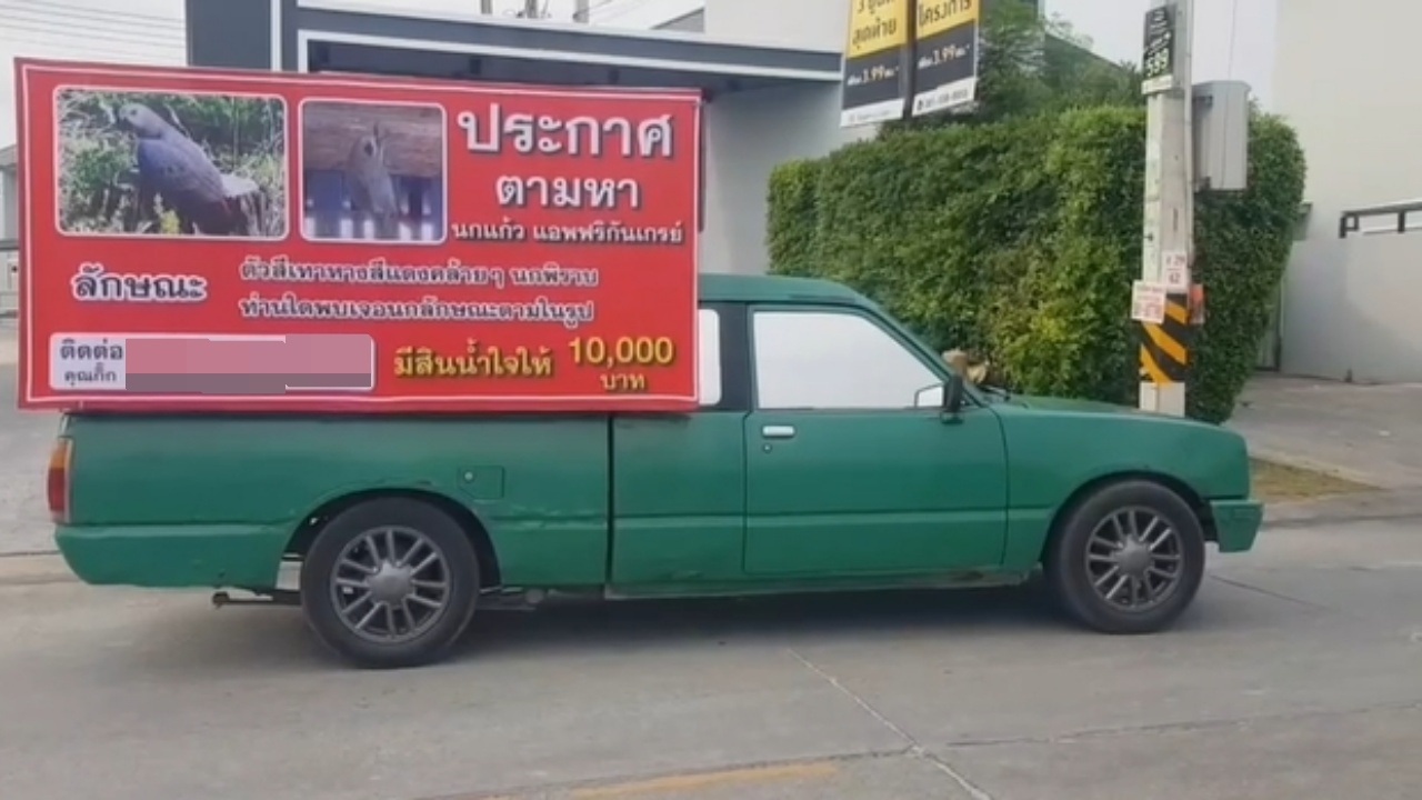 เจ้าของคิดถึงมาก จ้างรถแห่ประกาศตามหา "นกแก้ว" มีสินน้ำใจให้ 1 หมื่นบาท