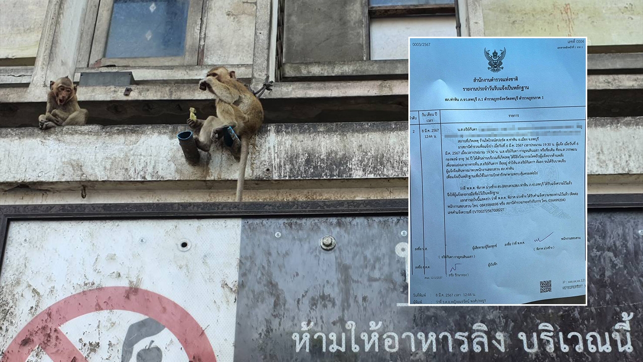 สาวแจ้งความ "ลิงลพบุรี" กระโดดถีบ แย่งถุงกับข้าว จ่อฟ้องละเมิด กรมอุทยานฯ