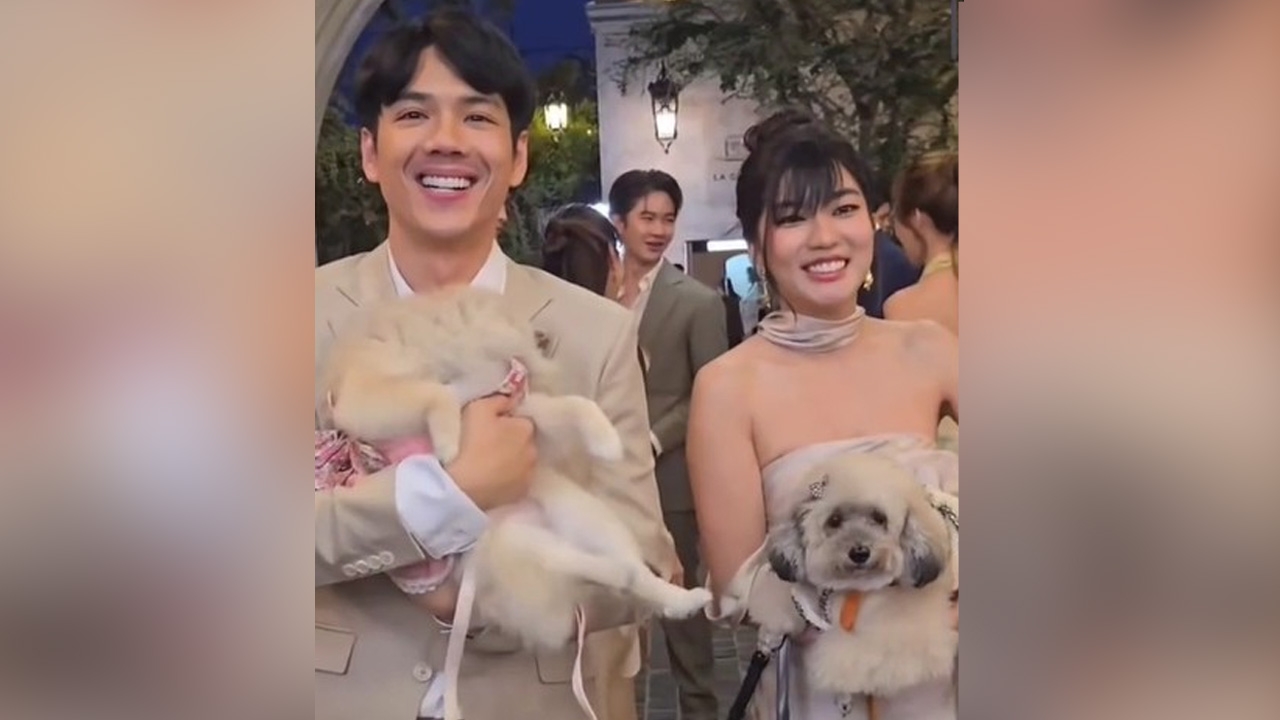 คนแห่ลุ้น นิกกี้-ก้อย รีเทิร์น หลังเห็นโมเมนต์น่ารักในงานแต่งคนใกล้ชิด