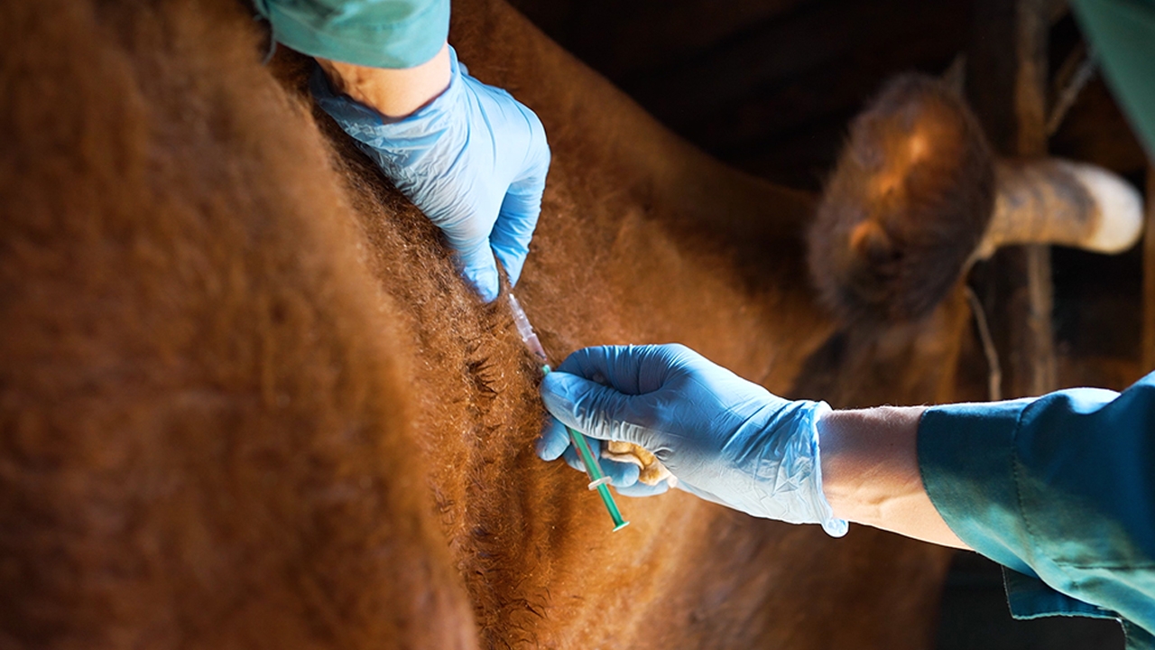 “โรคแอนแทรกซ์ คืออะไร”