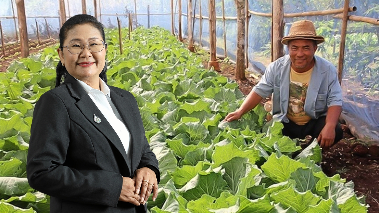 ยกระดับอาหารปลอดภัย ชุมชนพื้นที่สูงร่วมเกินร้อย