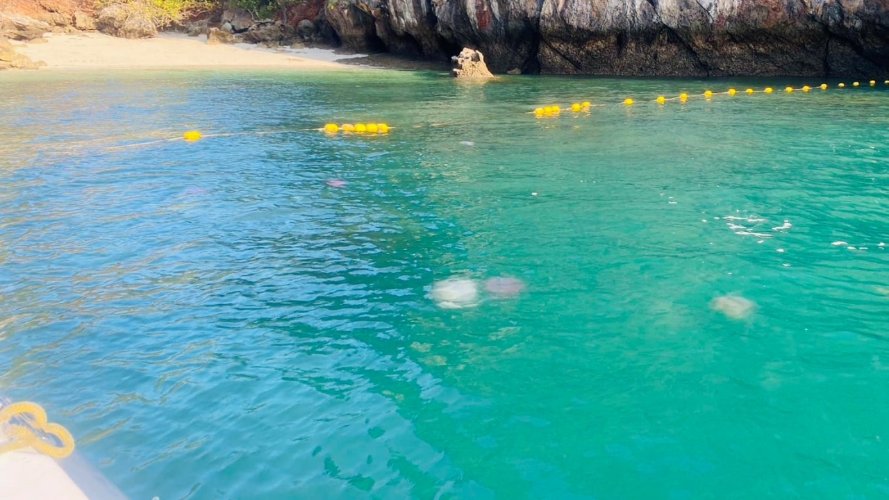 เตือนนักท่องเที่ยว ระวัง "แมงกะพรุนพิษ" ในน้ำทะเล เขตอุทยานฯ ธารโบกขรณี