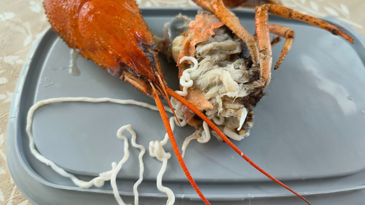 สาวตกใจเจอเส้นสีขาวปริศนาในหัวกุ้งเครย์ฟิช ด้านโซเชียลคอมเมนต์สนั่น