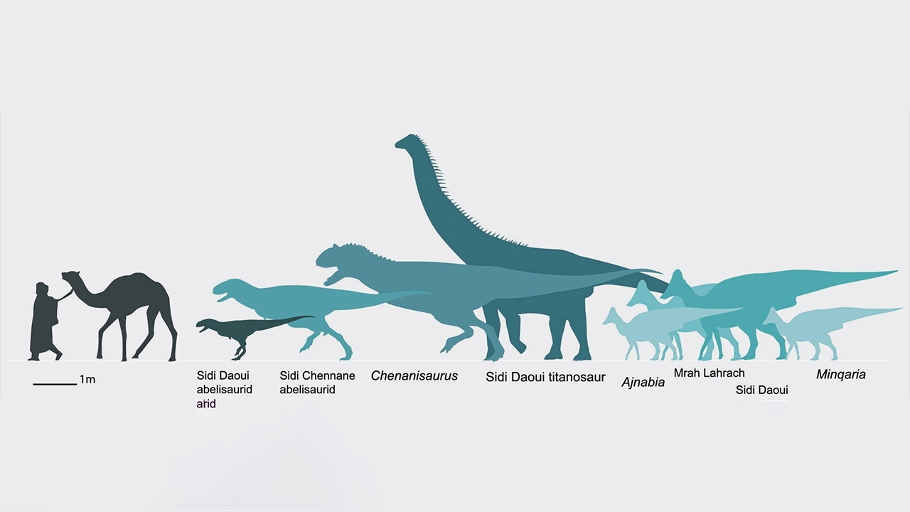 ไดโนเสาร์ปากเป็ดมาแอฟริกาได้อย่างไร