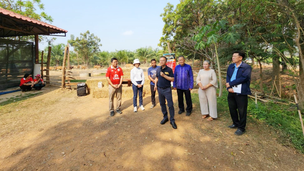 "สมศักดิ์" หนุนโครงการโคแสนล้าน เชื่อสร้างรายได้เกษตรกร-มีเงินใช้หนี้