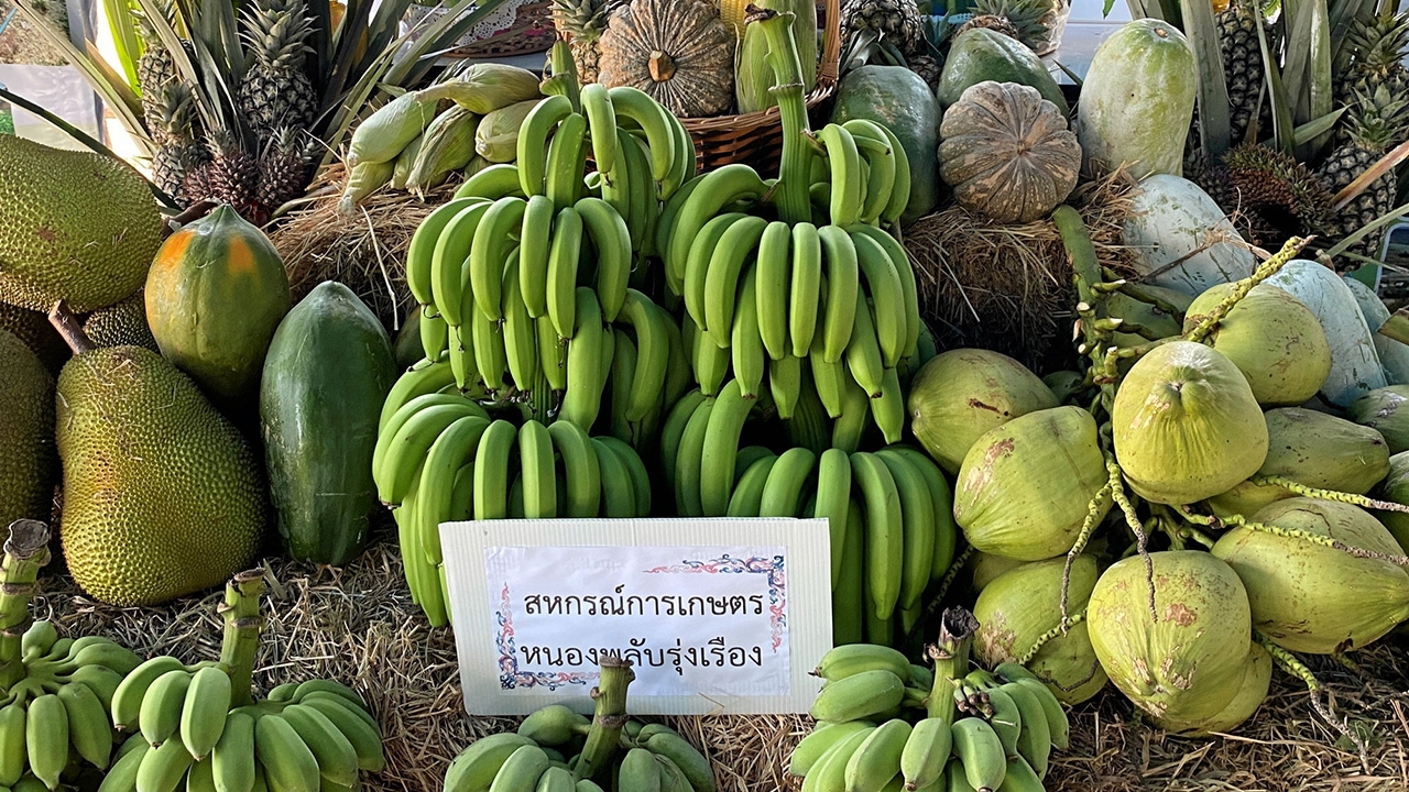 คืนชีพแผ่นดินพ่อ เพชรบุรี ประจวบคีรีขันธ์ วันนี้อยู่ดีกินดี มีกิน มีใช้ ไร้หนี้สิน