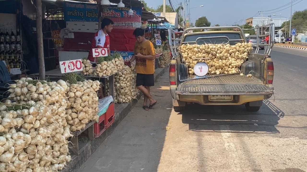 มันแกวหวานงานพระธาตุพนมยอดขายลด คนเน้นทำบุญไม่ซื้อของ กระทบเศรษฐกิจท้องถิ่น
