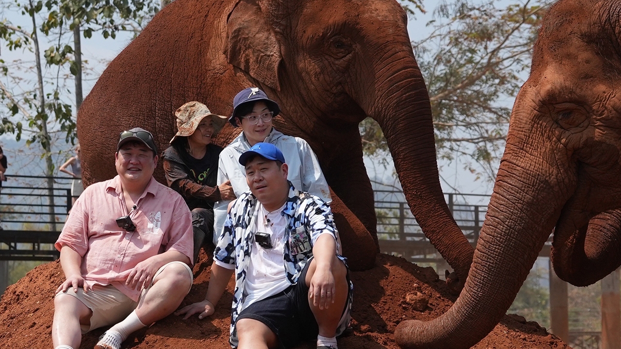 คิมซอนโฮ สุดตื่นเต้นได้ใกล้ชิดช้างไทยครั้งแรก อะเมซิ่งช้างสุภาพ-น่ารัก