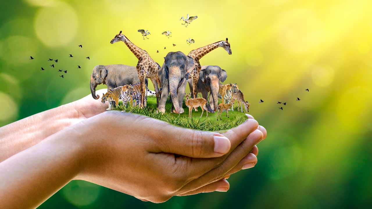 3 มีนาคม วันสัตว์ป่าและพืชป่าโลก ร่วมตระหนักถึงคุณค่าสู่การอนุรักษ์อย่างยั่งยืน